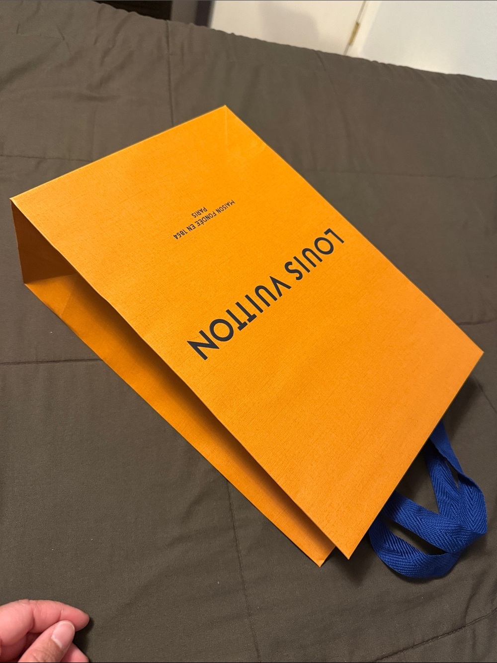 Louis Vuitton Paper Bag